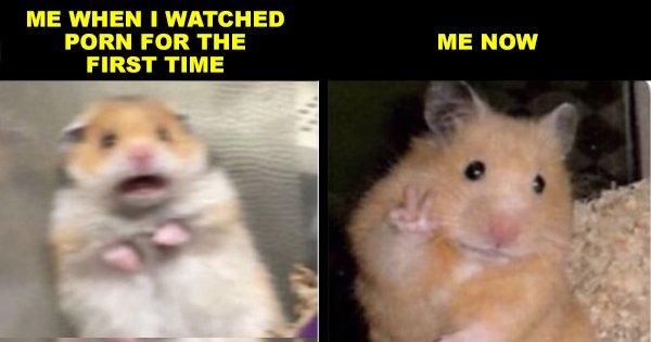 18 Porn Memes You’ll Totally Relate To If You Watch Porn Or If You Lie About Watching It