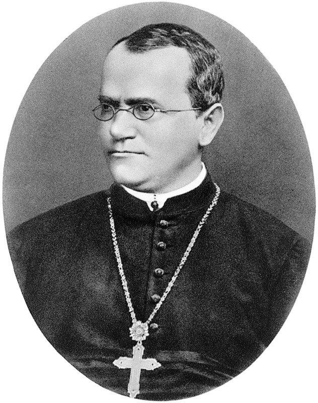 5. Gregor Johann Mendel laid the foundations of genetics by experimenting on: