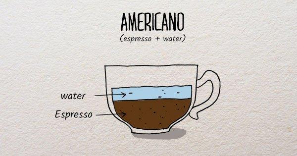 We All Love Coffee But How Much Do We Know About It? Here’s Your One-Step Guide To The Brew