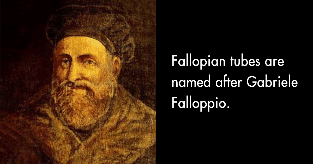 This Twitter Thread Lists Female Reproductive Parts Named After Men & We’re Like Why The Hell?