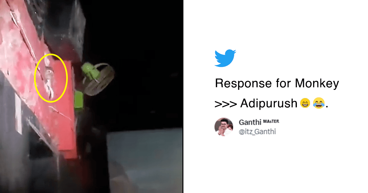 A Monkey Entered Theatre During ‘Adipurush’ Screening & People Started Cheering & Whistling