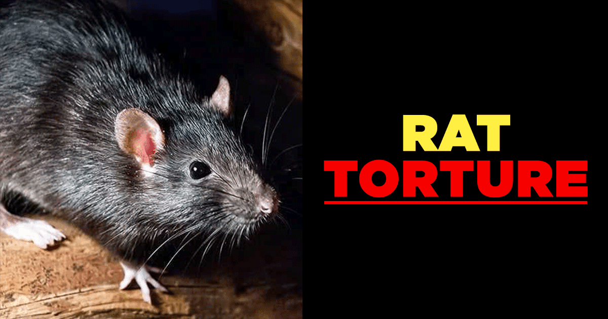 7 Spine-Chilling Execution Methods From Ancient India That Will Freak You The F*ck Out