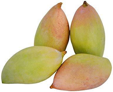 1. Which kind of mango is this? 