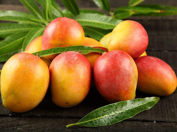 5. What is the scientific name for mango? 