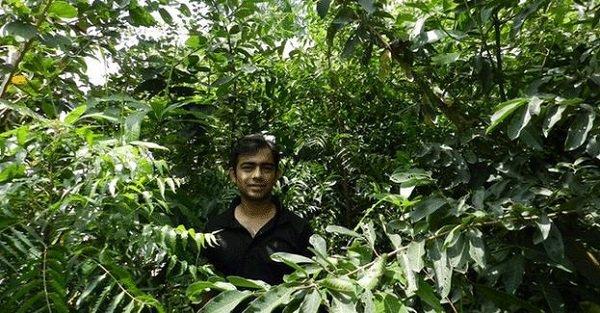 This Man Can Turn Your Backyard Into A Green Forest… At The Cost Of An iPhone!