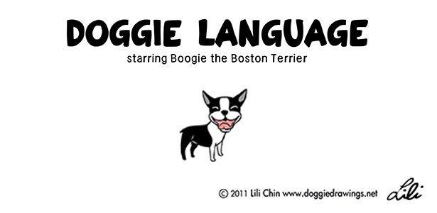 Your Guide To Understanding Dog Language
