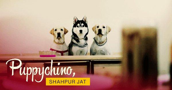 8 Pet-Friendly Cafes In Delhi NCR To Take Your Furry Friend On A Date
