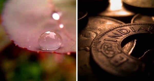 With This Hack You Don’t Need A DSLR To Click These Stunning Macro Photos, Just Your Smartphone