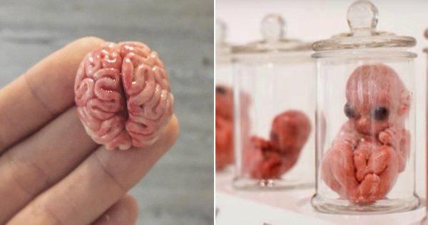 These Dead Babies & Dismembered Body Parts Sculptures Are The Most Morbid Kind Of ‘Art’ There Is