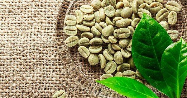 Here Are 5 Reasons Why You Must Try Green Coffee This International Coffee Day