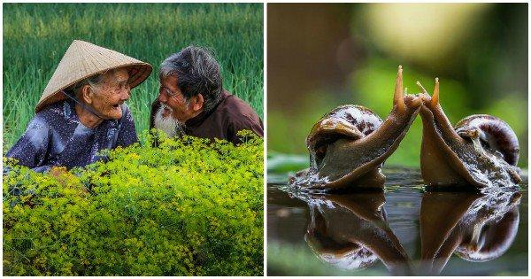 Someone Asked Photographers What ‘Love’ Meant To Them, They Captured It In 40 Pics