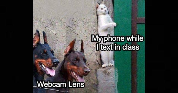 15 Memes On Online Classes That Every Student Can Laugh At Without Any Lag