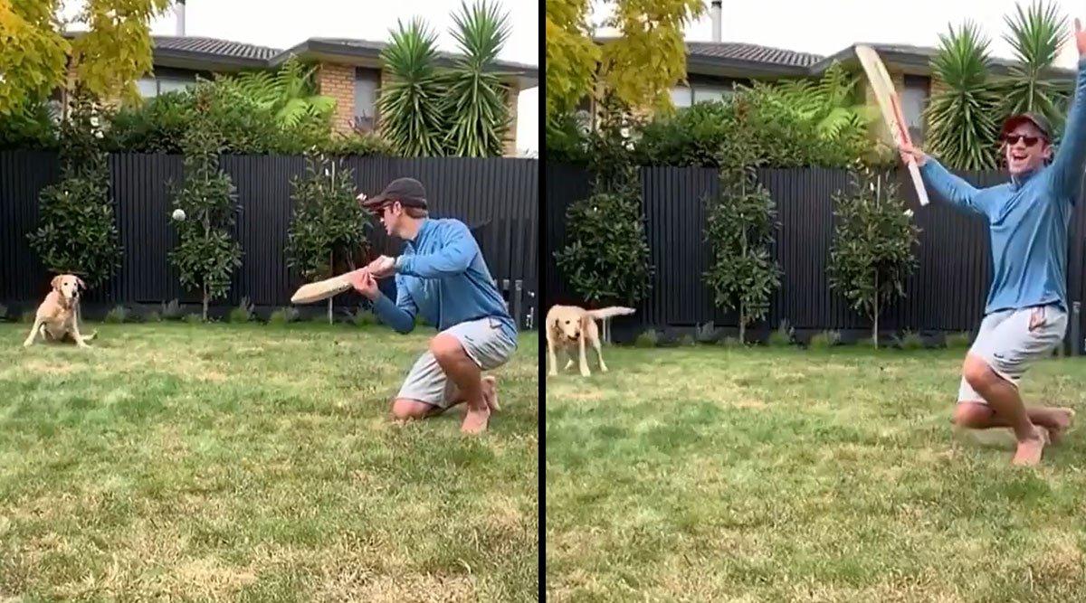 Kane Williamson’s Dog Is Now Internet’s Favourite Fielder After Video Of Playing Catch Goes Viral