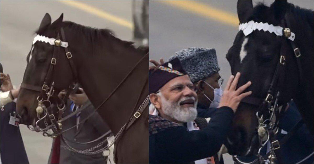 Virat, The President’s Bodyguard’s Horse, Retires After 18 Years Of Service On Republic Day