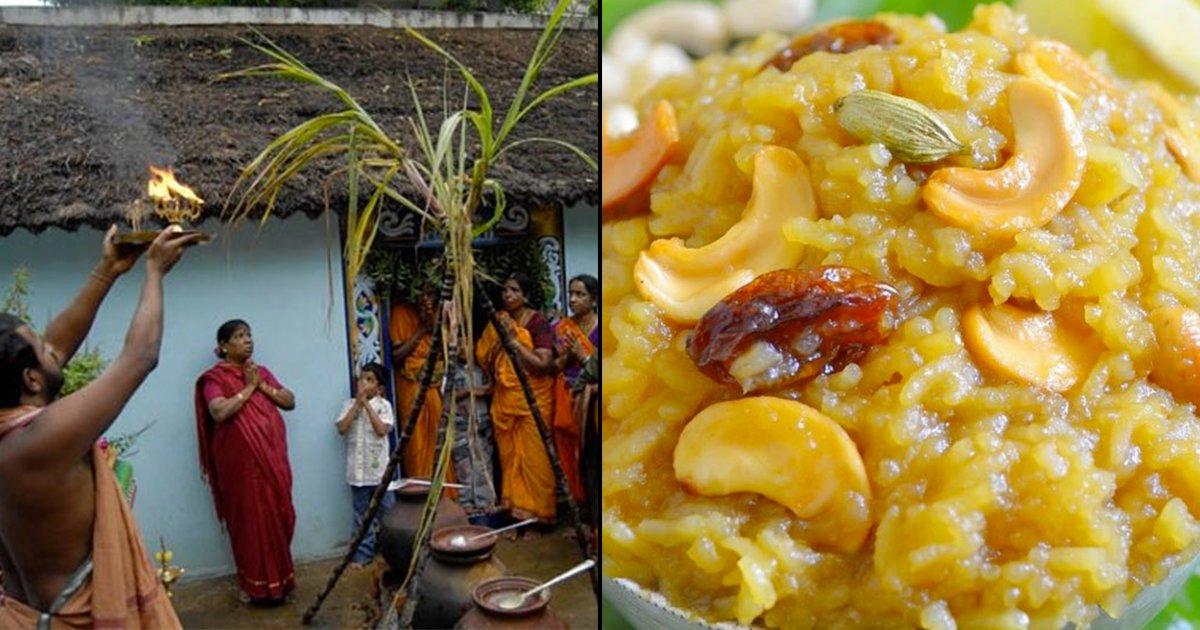 Everything To Know About The Rituals & Food Of Pongal, The Harvest Festival Of Tamil Nadu