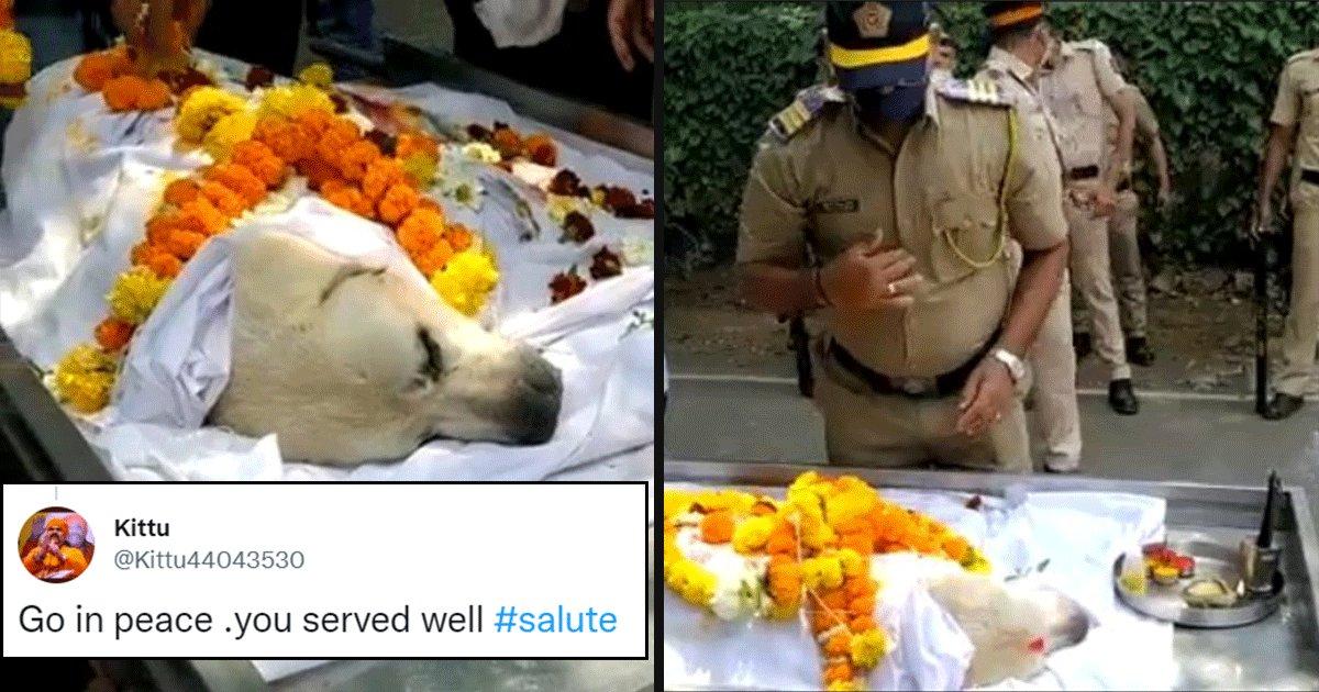 Thank You For Your Service: Mumbai Police’s Bomb Detection Dog Simba Cremated With Three Gun Salute