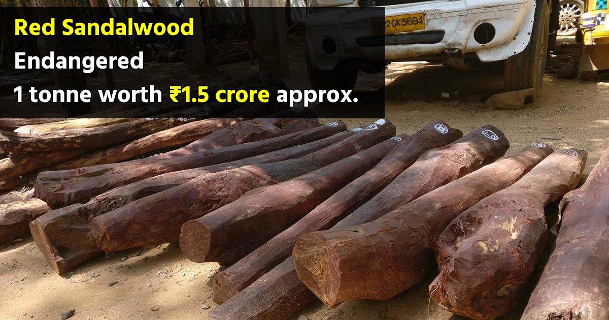 Red Sandalwood & 4 Other Endangered Plants Endemic To India That Are Worth Billions