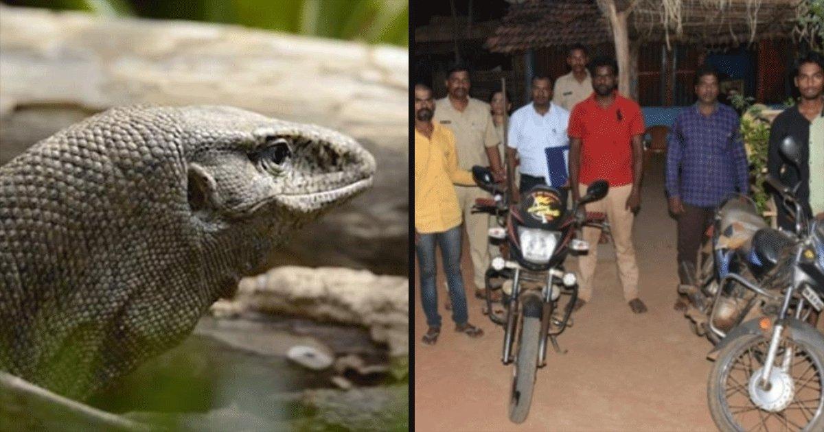 In A Deeply Distressing News, 4 Men In Maharashtra Have Been Accused Of Gangraping A Monitor Lizard