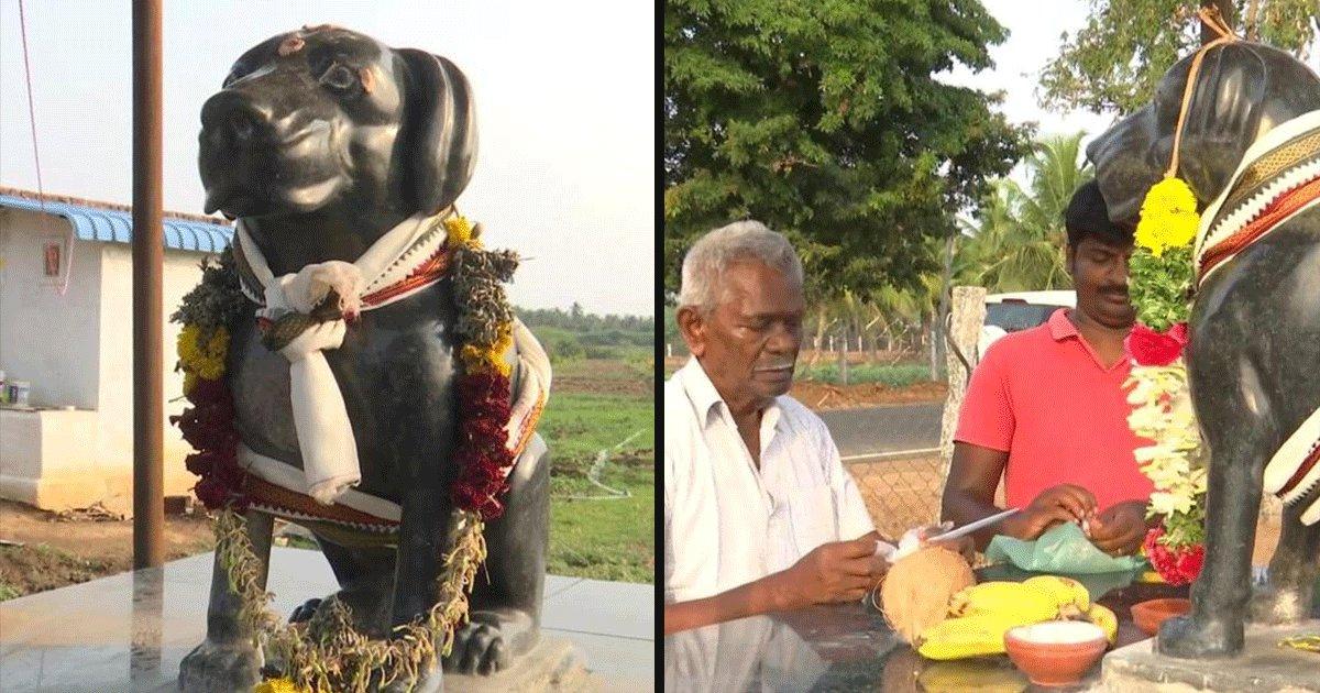 Tamil Nadu Man Builds Temple With Statue Worth ₹80K To Honour The Memory Of His Beloved Pet Dog