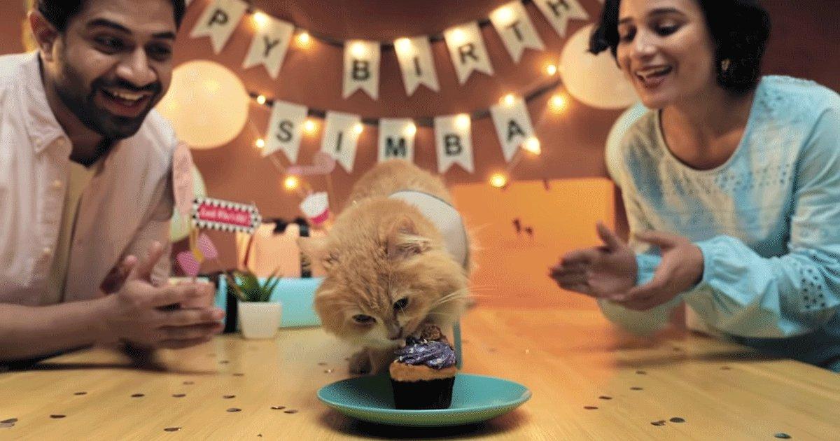 These Short Films By Heads Up For Tails Will Make You Love Your Furry Friends A Lil Extra Today