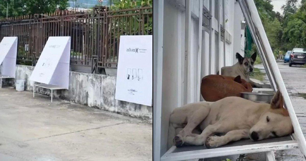Thailand Is Converting Its Billboards Into Dog Shelters & We Should Take A Leaf Out Of Their Book
