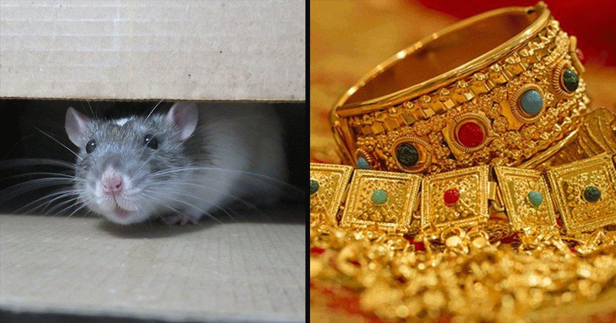 Apparently, Gold Worth ₹5 Lakhs Was Stolen In Mumbai – By RATS