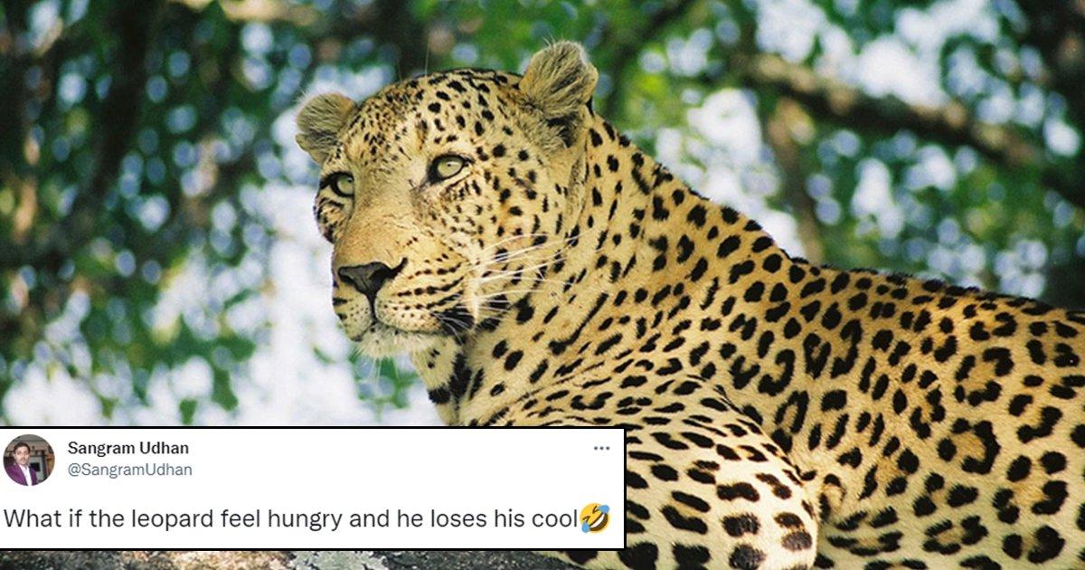 After Losing Her Pet Dog, Vadodra Woman Adopts A Pet Leopard At Sayajibaug Zoo