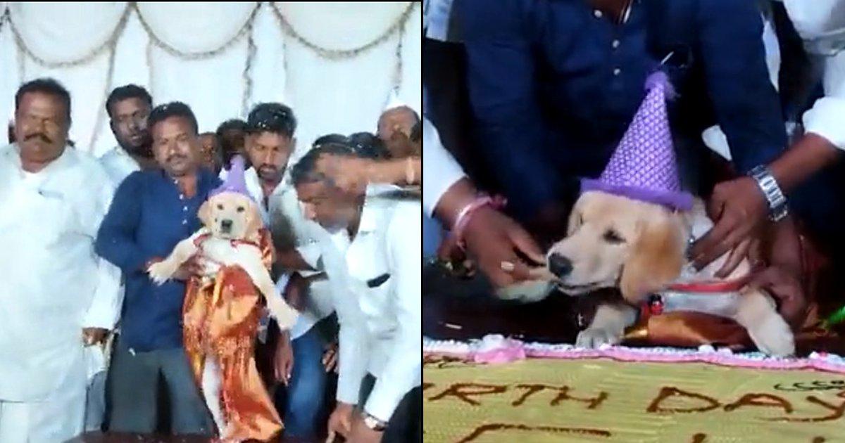 A Man In Karnataka Celebrated His Doggo’s Birthday By Cutting A 100 Kg Cake & Inviting 4000 Guests