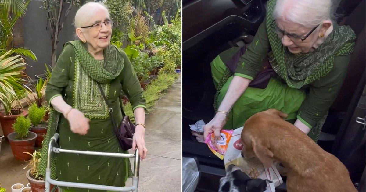 90-YO Grandma Waking Up At 4 AM Every Day To Cook Food For Stray Dogs Is The Internet’s New Hero