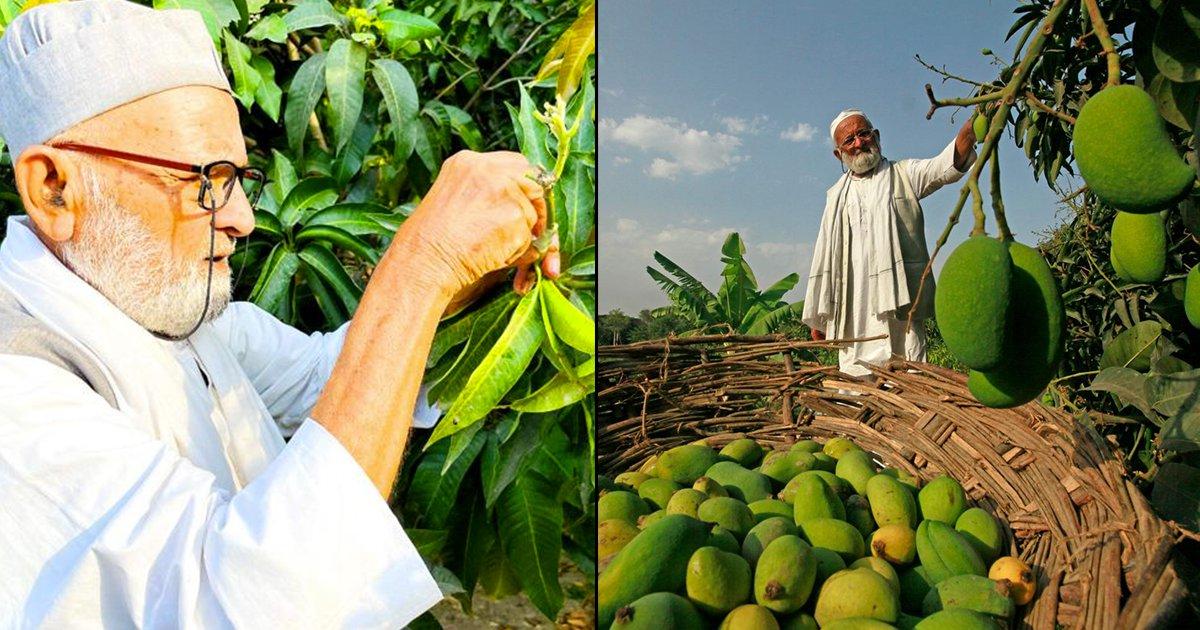 Meet Kaleem Khan, India’s Mango Man Who Has Grown 300 Types Of Mangoes From One Tree