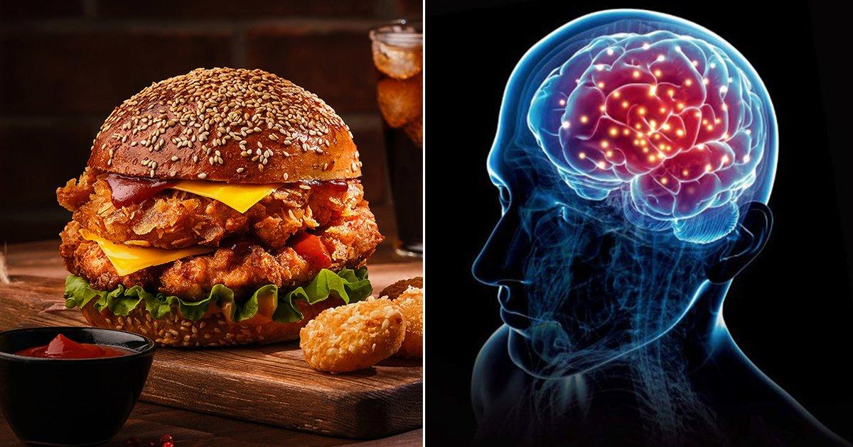 Love Junk Food? Not Just Weight Gain, Scientists Say It Can Also Shrink Your Brain