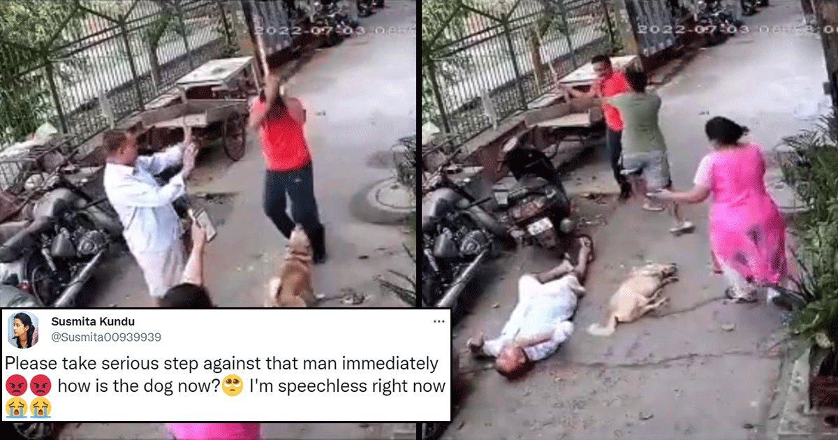 Video: Twitter Seeks Justice For This Dog After A Man Brutally Beat It For Barking At Him