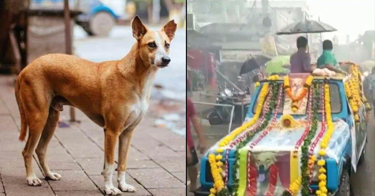This Odisha Family Bidding Their Last Farewell To Their Pet Dog Will Make You Teary-Eyed
