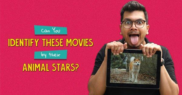 Can You Identify These Movies By Their Animal Stars?