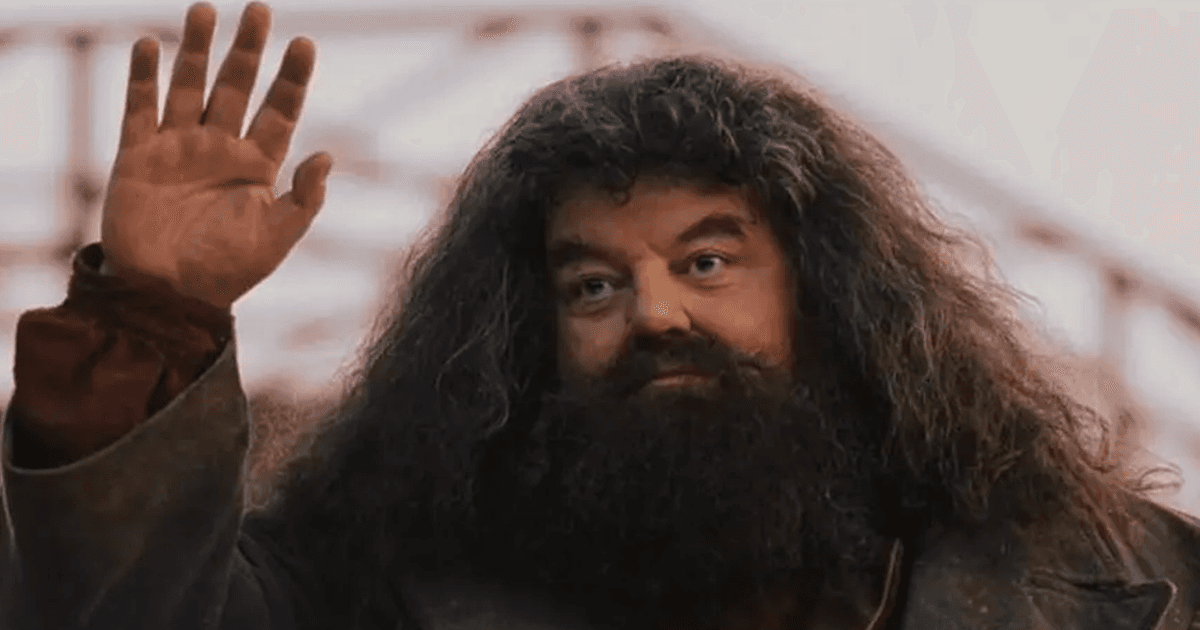 The Story Of Rubeus Hagrid, The Finest Gamekeeper At Hogwarts School Of Witchcraft & Wizardry.