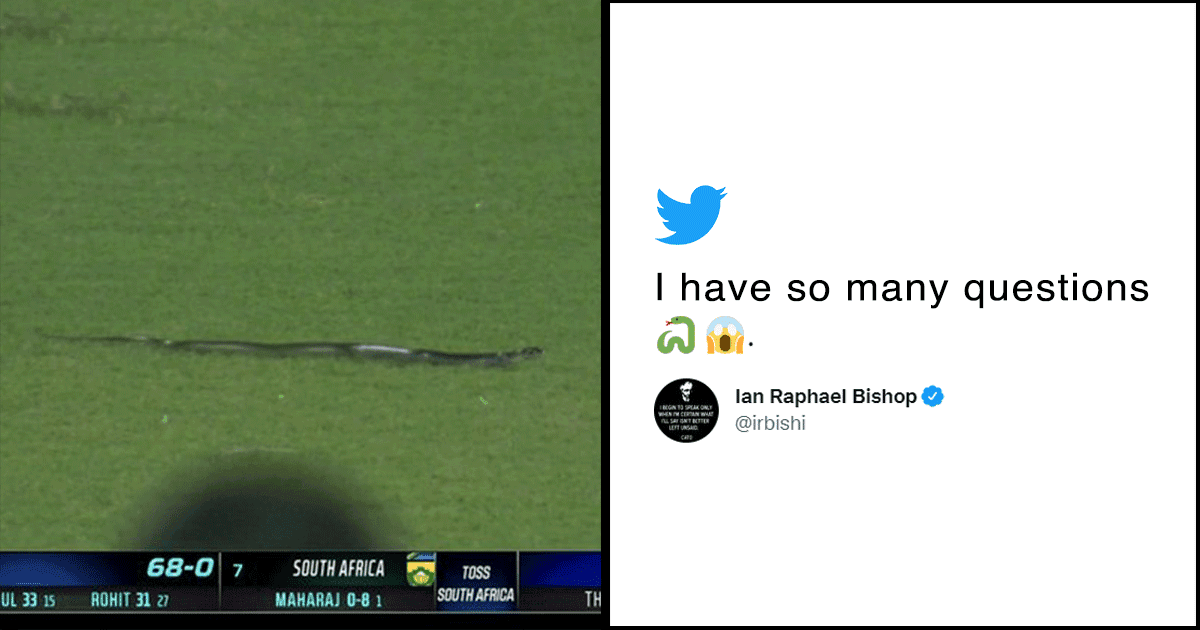 Fans Left Amused After A Snake Interrupts India Vs South Africa T20 Match In Guwahati