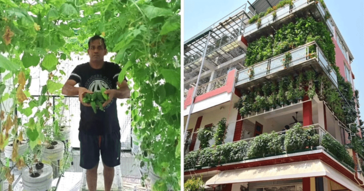 This Man Covered His House With 10,000 Plants. The Reason Why Is Heart-Breaking