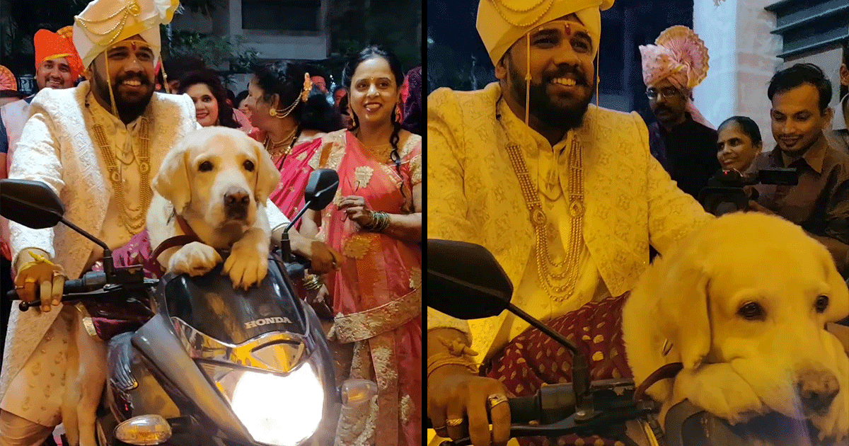 This Groom Made An Entry With His Pet Dog On His Bike And The Internet Can’t Get Over This Cuteness