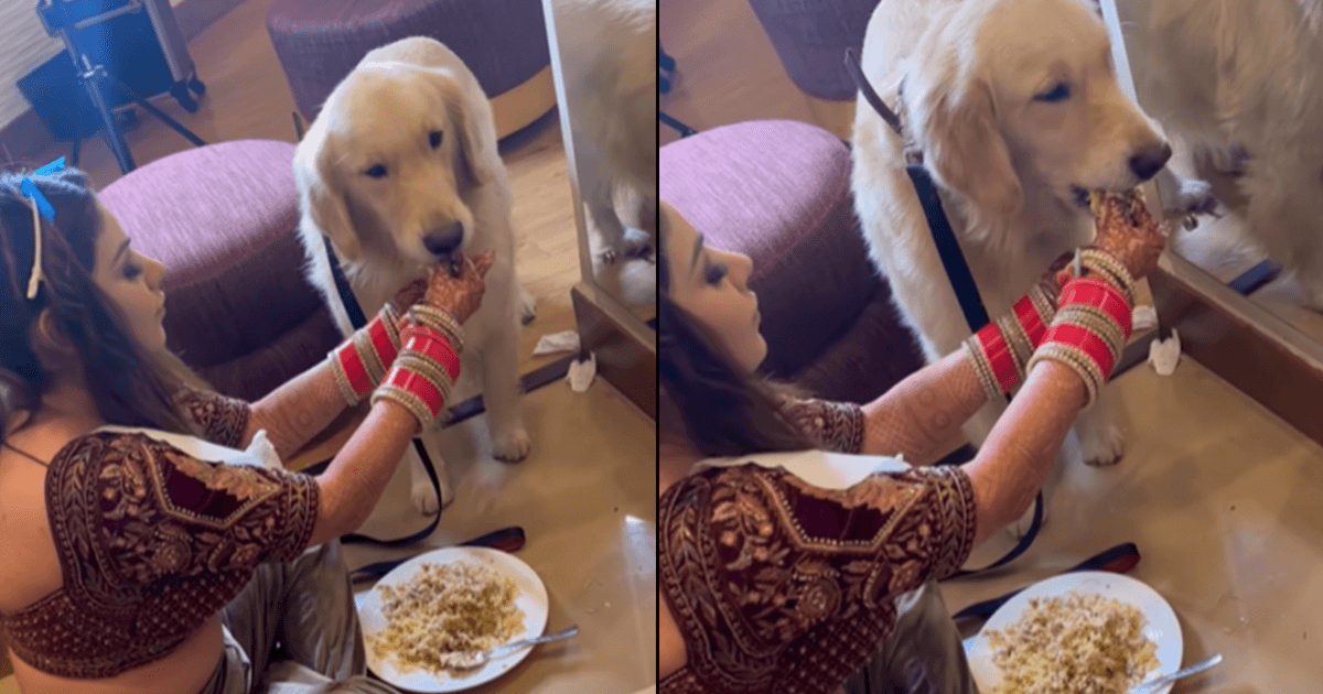 This Bride Stopped Her Makeup On Her Wedding Day To Feed Her Dog & If This Isn’t Love, What Is?