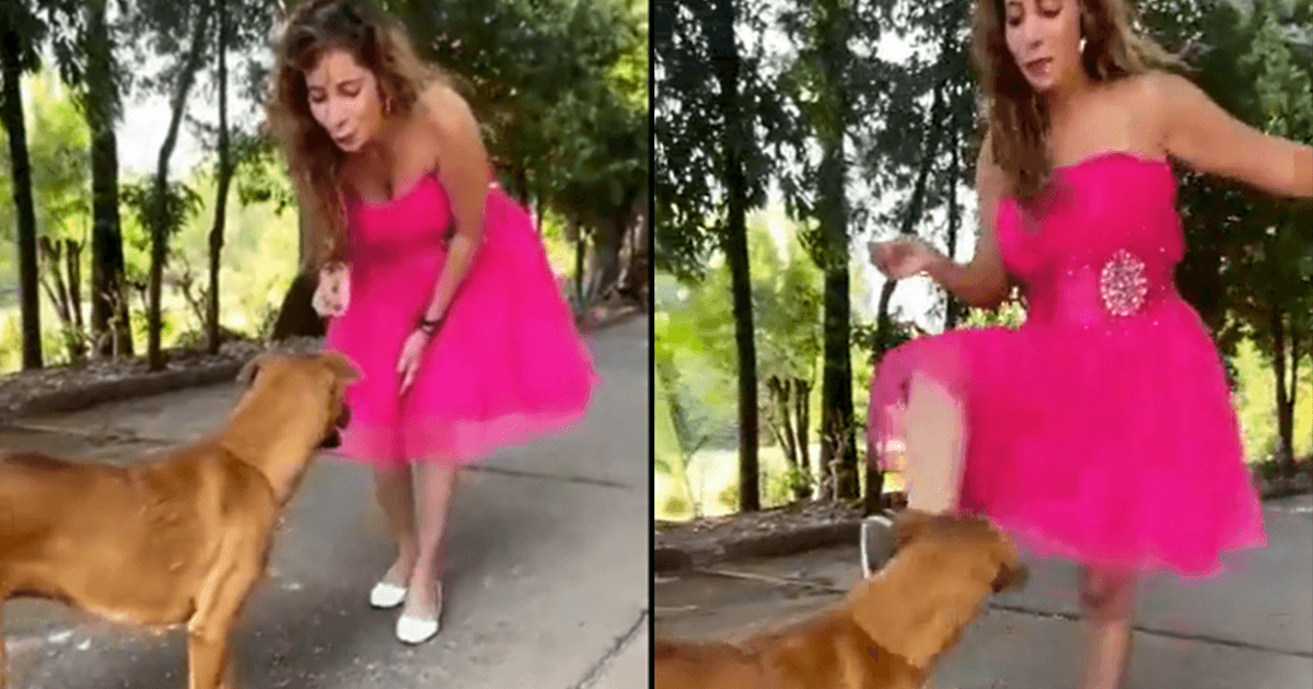 Called Out For Kicking A Dog For A Video, Influencer Apologises, Claims She’s An Animal Lover