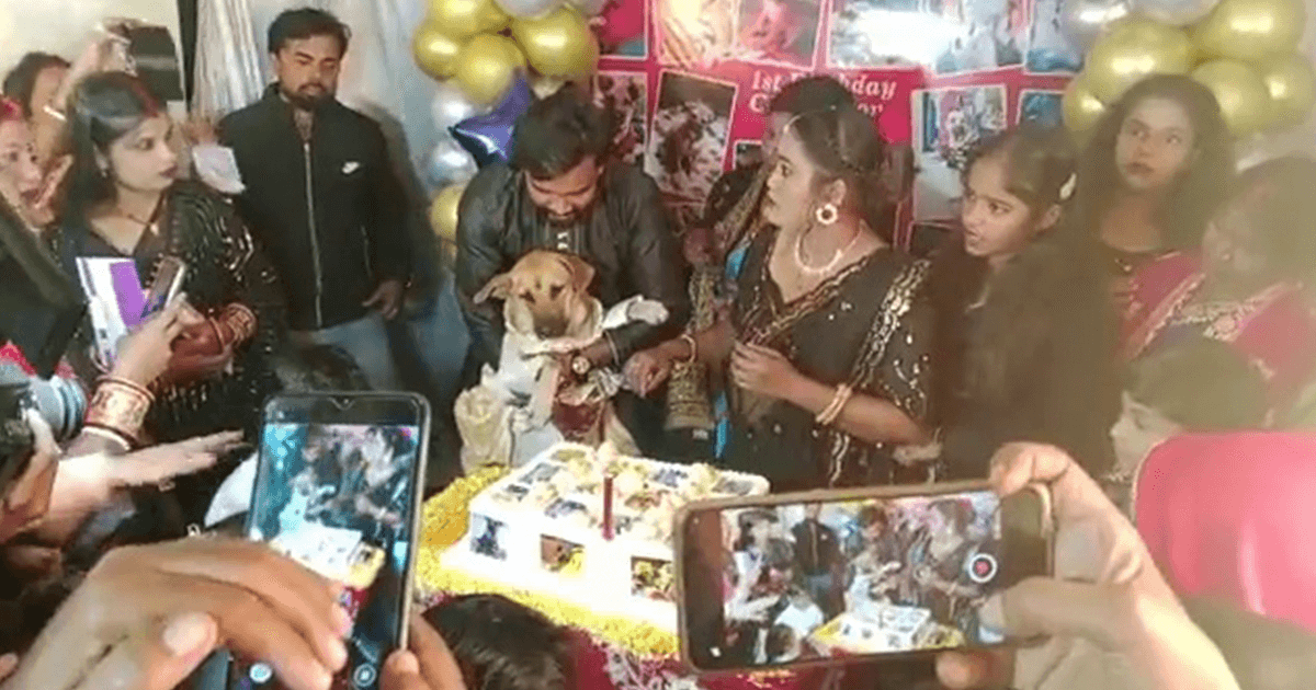 350 Guests, Gold Lockets, ₹5K Suit: This Dhanbad Woman Threw An OTT Birthday For Her Pet Dog