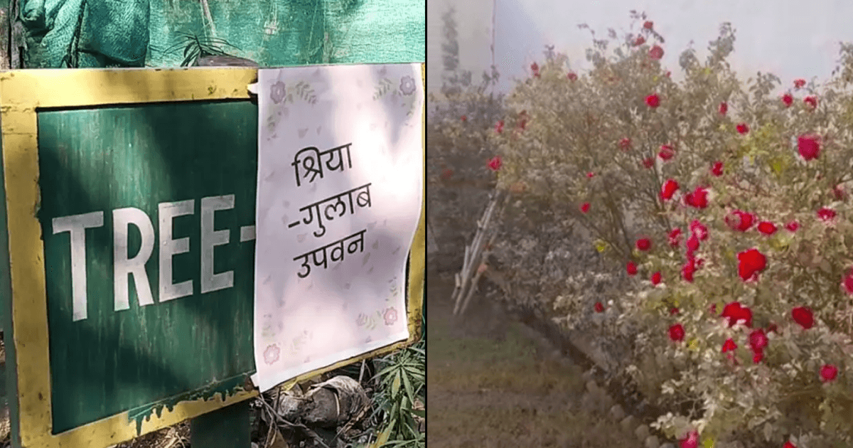 This Ghaziabad Man Gifted An Entire Rose Garden To His Girlfriend Ahead Of Valentines Day