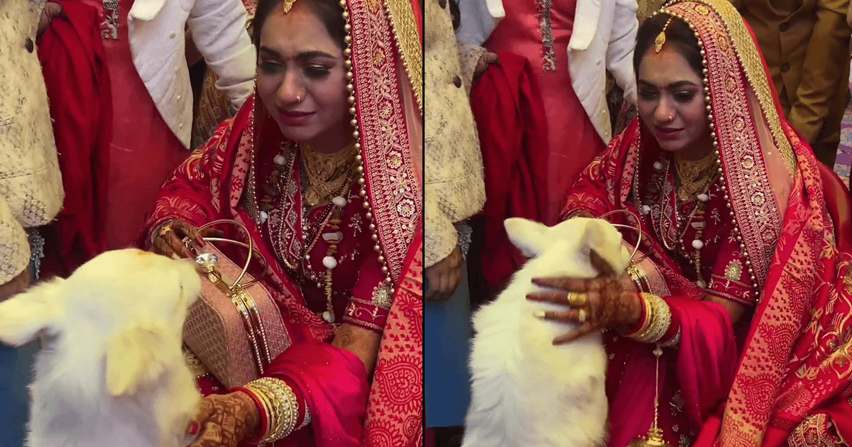 This Pet Dog Who Refused To Let The Bride Go At Her Vidaai Has Left The Internet Sobbing