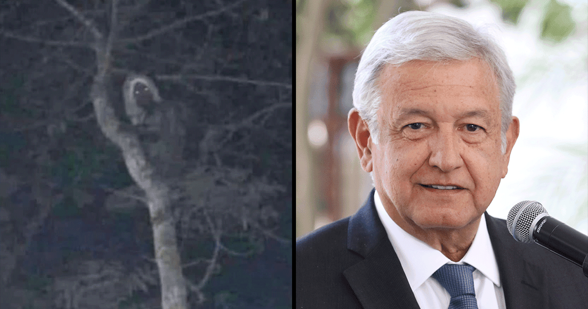 The Mexican President Posted A Photo Of An ‘Ancient Mayan Elf’. What Timeline Are We In?