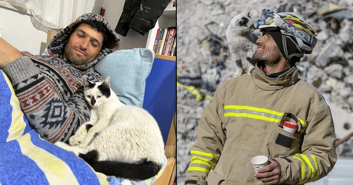 Cat Rescued In Earthquake-Hit Turkey Gets Adopted By The Person Who Saved It. Ah, My Heart!