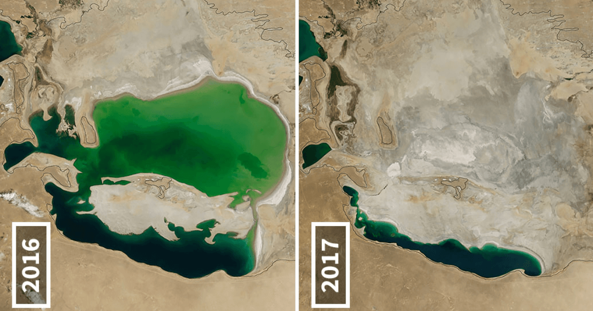 8 Before After Photos That Perfectly Depict The Kind Of Climate Crisis We Are In
