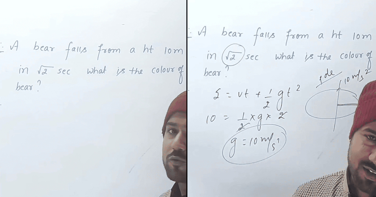 Wait, What?: People In Disbelief As Teacher Uses An Equation To Calculate The Colour Of A Bear
