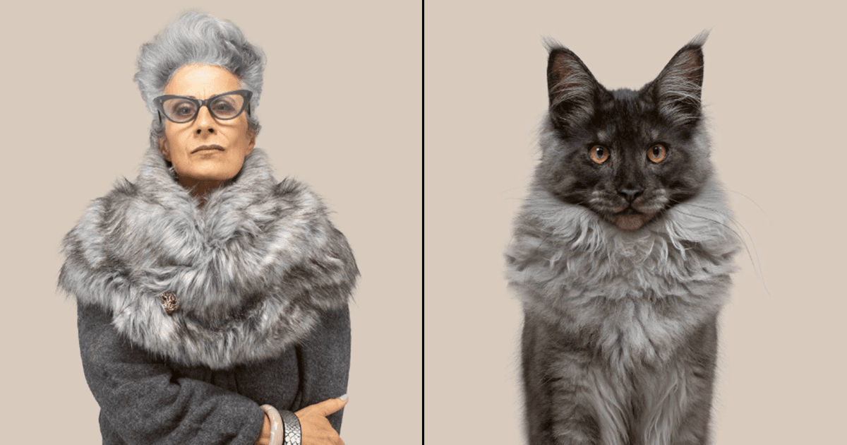 This Photographer Captures The Uncanny Resemblance Between Cats & Humans