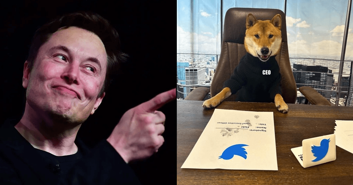 Elon Musk ‘Reveals’ His Dog Floki Is The New CEO Of Twitter