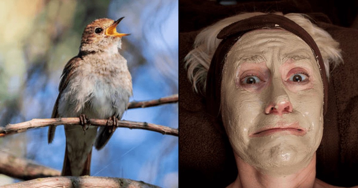 There Is A Nightingale Poop Facial & People Are Paying ₹18,000 For Its 90-Minute Session